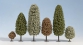 noch 26306 25 arbres, 65-110 mm